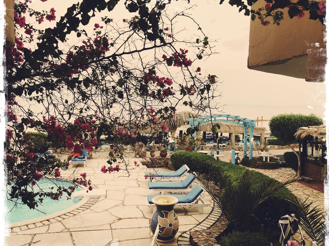 Coral Coast Hotel主图