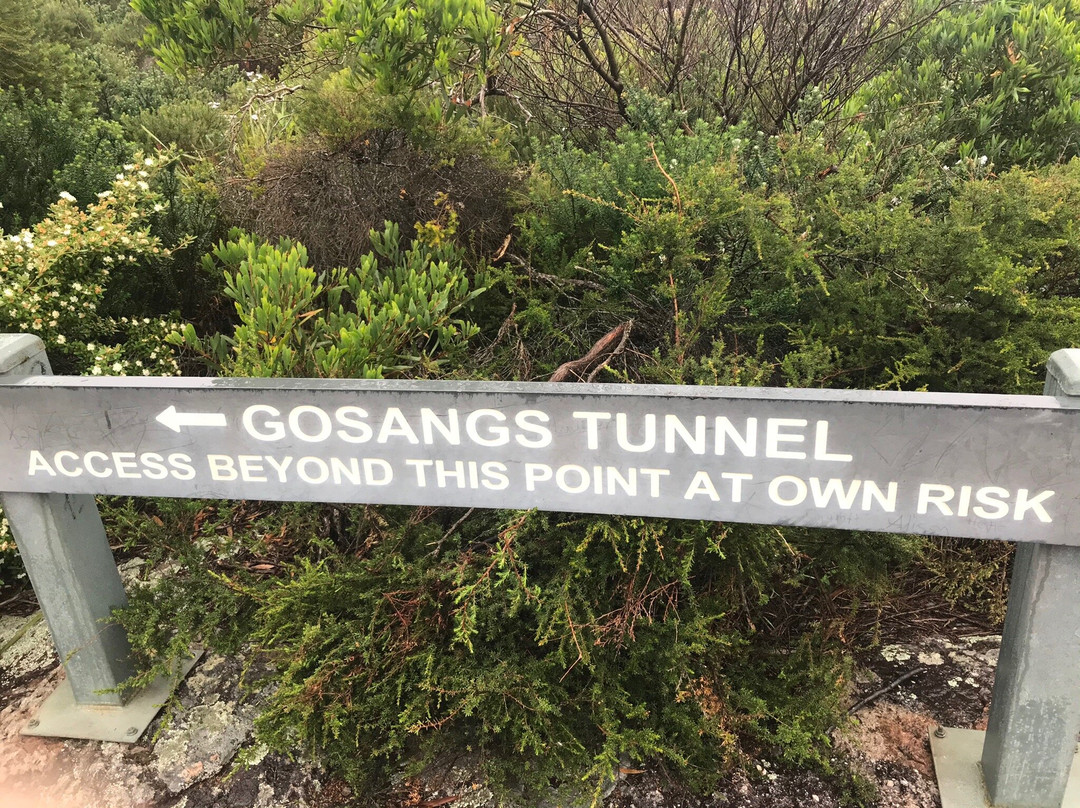 Gosangs Tunnel景点图片