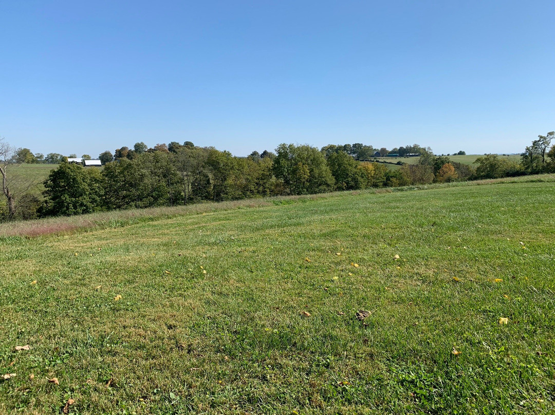 Harkness Edwards Vineyards-Winchester必去景点