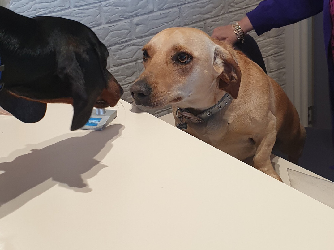 森雷汽车旅馆主图