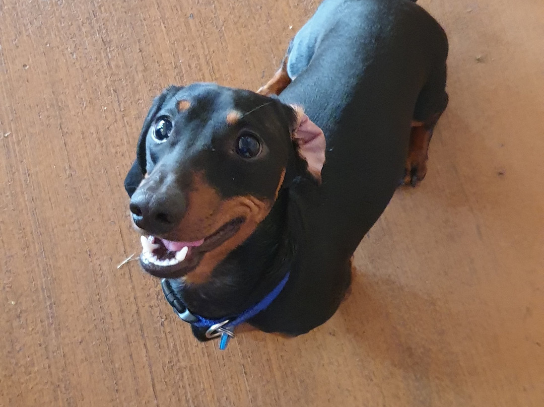 森雷汽车旅馆主图