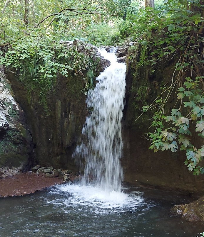 Valle delle Ferriere景点图片