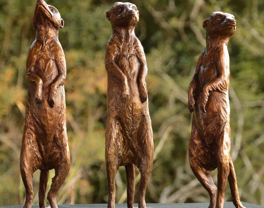 Warren Cary Wildlife Gallery-霍德斯普鲁特必去景点