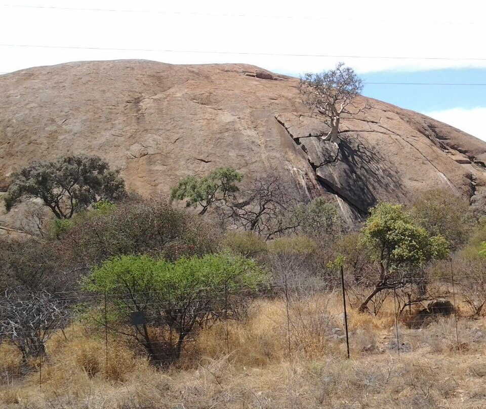 Tshipise A Forever Resort主图