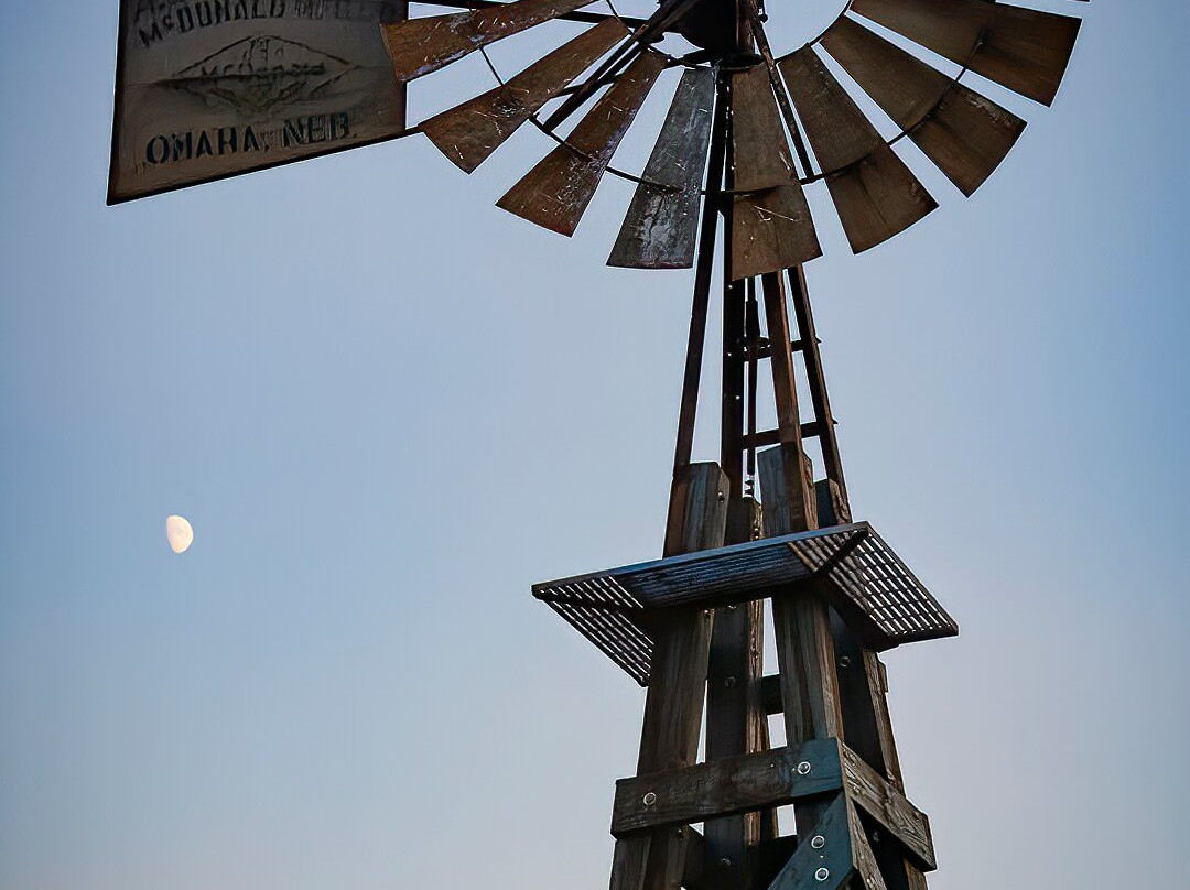 Bruzzi Vineyard-Young必去景点