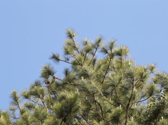 Parque da Cerveja Campos do Jordão-坎普斯－杜若尔当必去景点