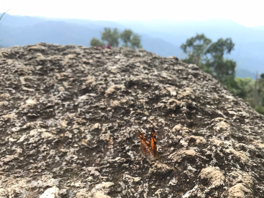 Bukit Kutu-Kuala Kubu Baharu必去景点