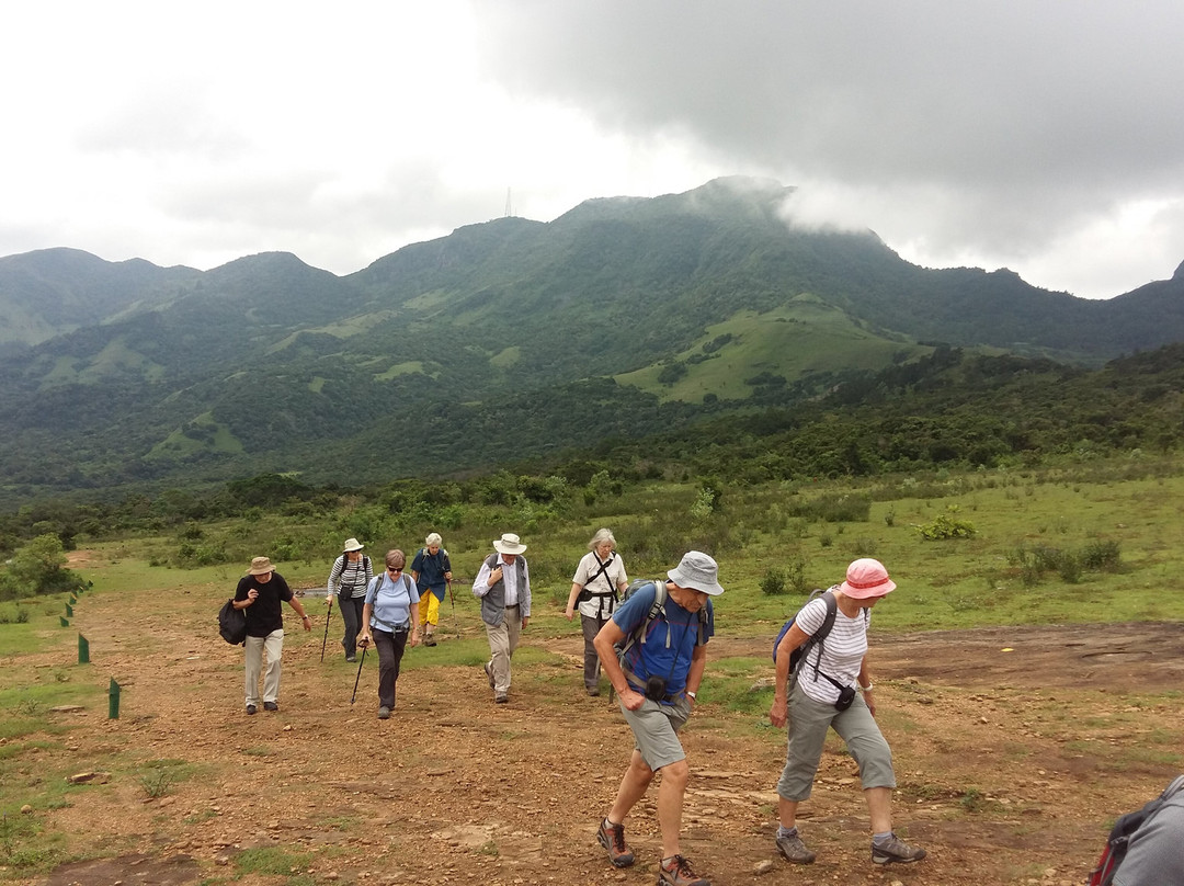 Riverstone Gap-Matale必去景点