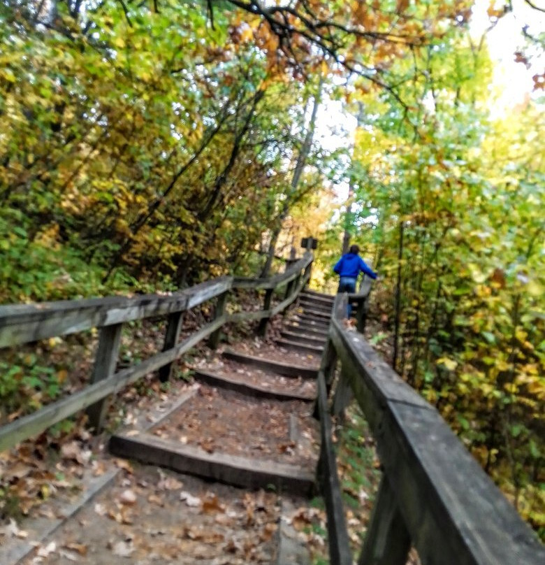 Wilderness Drive-Lake Itasca必去景点
