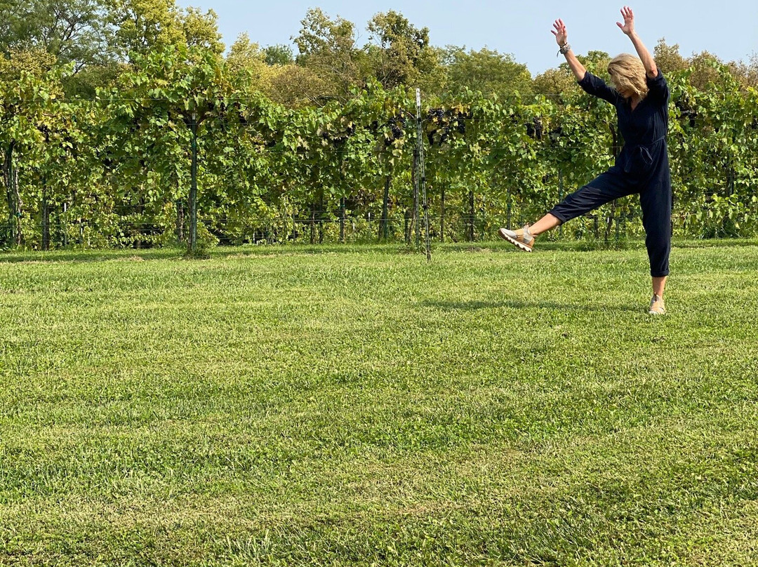 Fence Stile Vineyards, Winery & Distillery景点图片