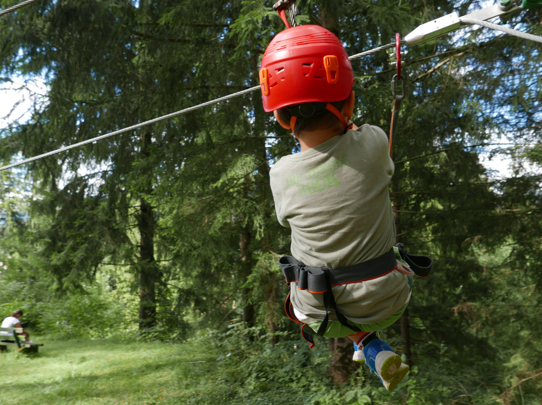 Adventure Dolomiti , Parco Avventura - Molina Di Fiemme)-Castello-Molina di Fiemme必去景点