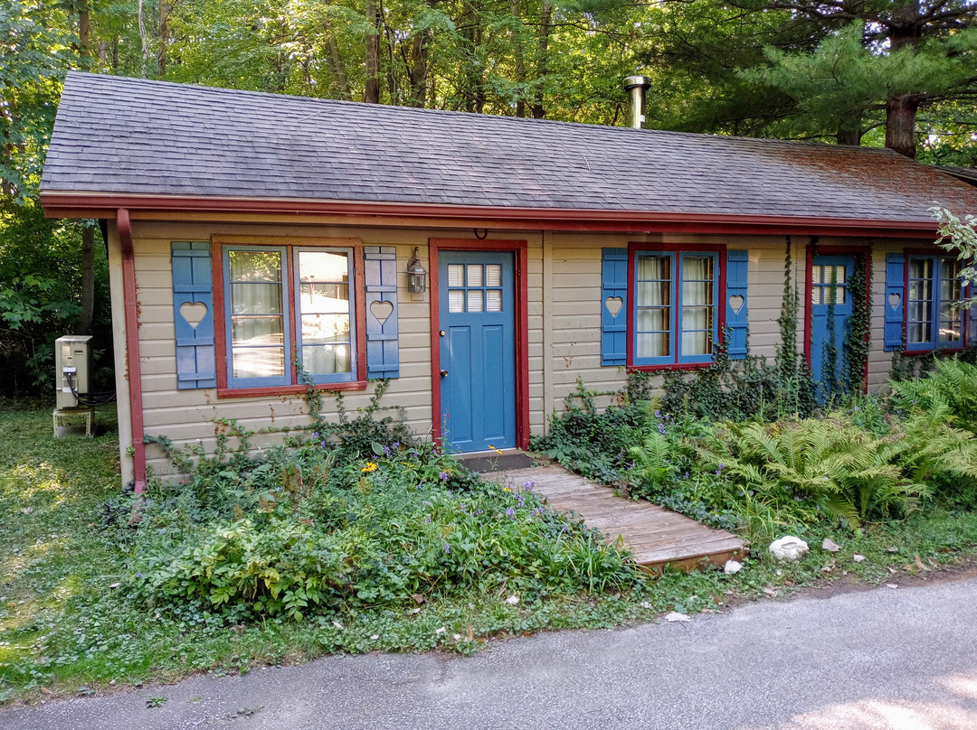 The White Rabbit Inn B&B主图