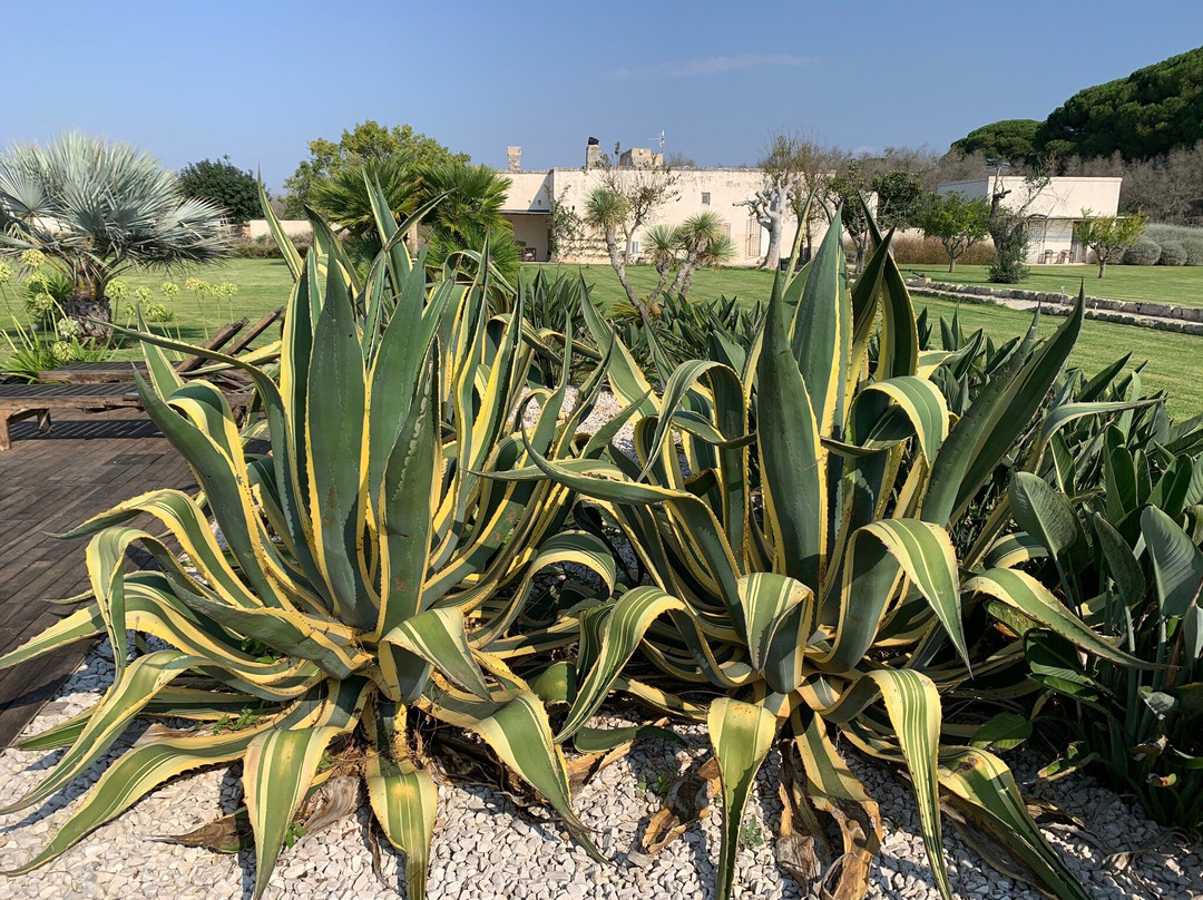 Masseria La Gresca主图