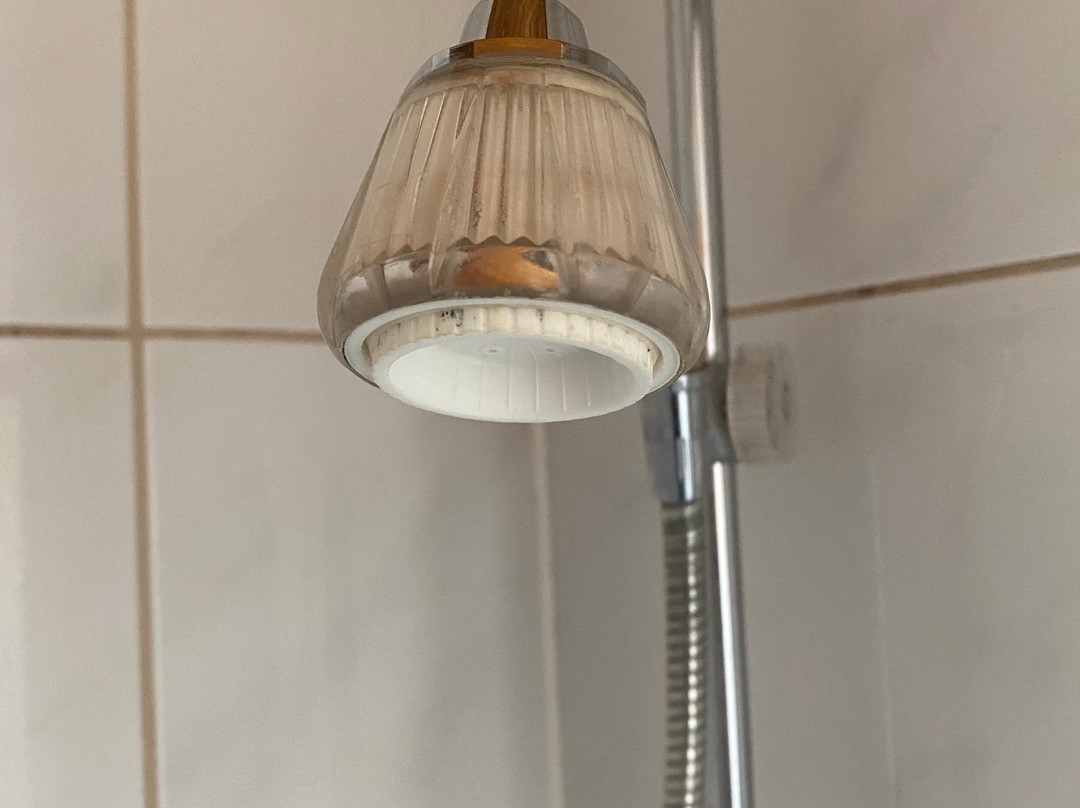 Zur Grunen Kutte主图