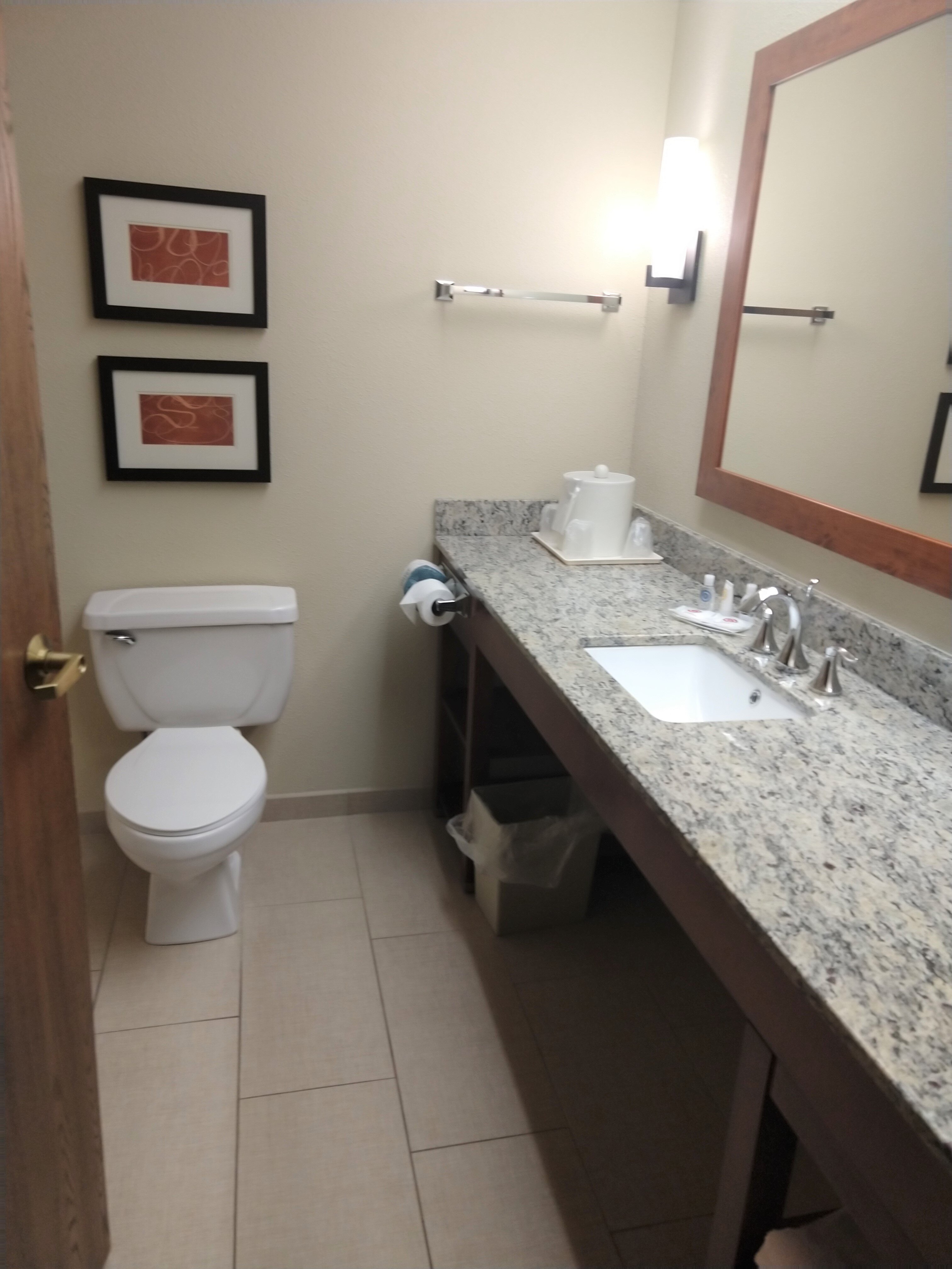 Comfort Suites Marquette-浴室