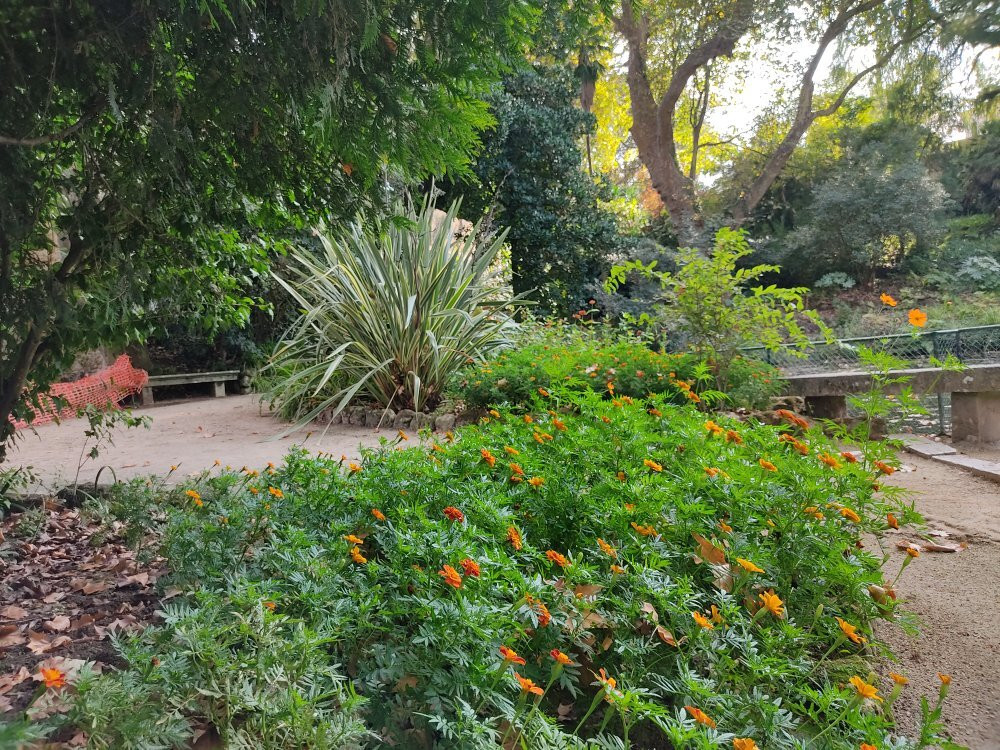 Parque Botânico do Monteiro-Mor景点图片