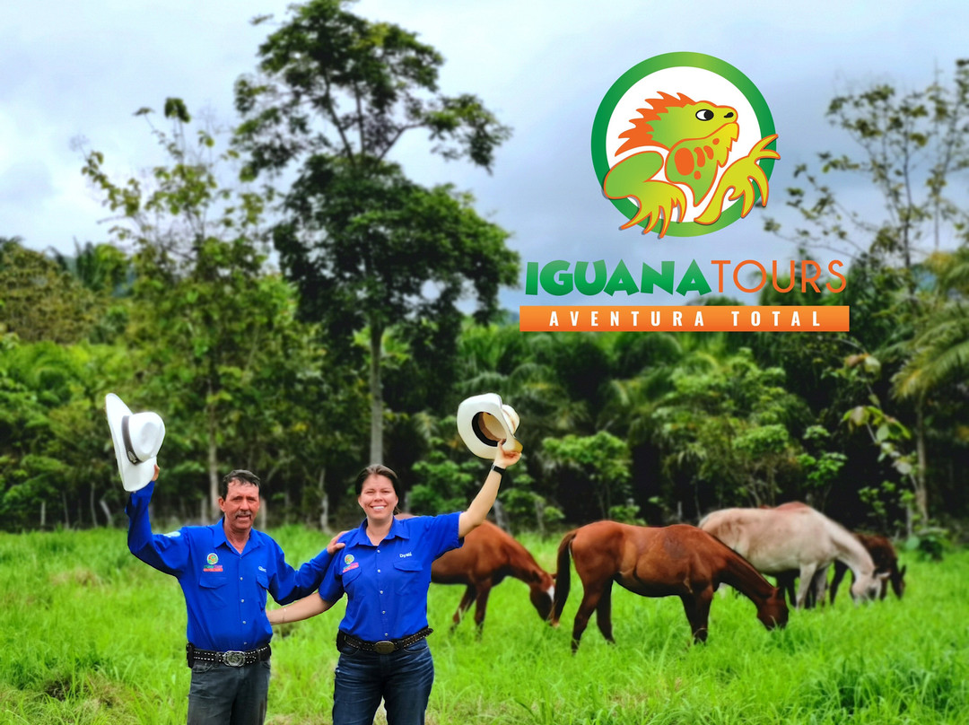 Iguana Tours景点图片