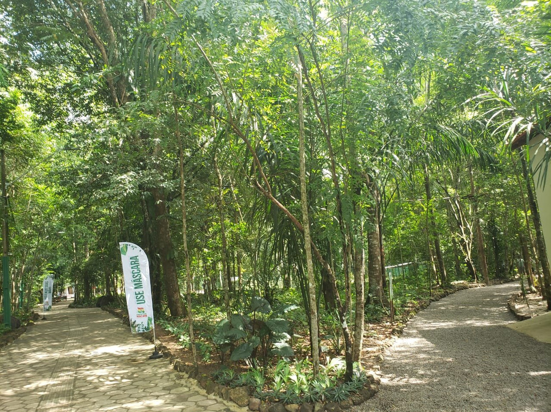 Bioparque Municipal de Macapa-Macapa必去景点