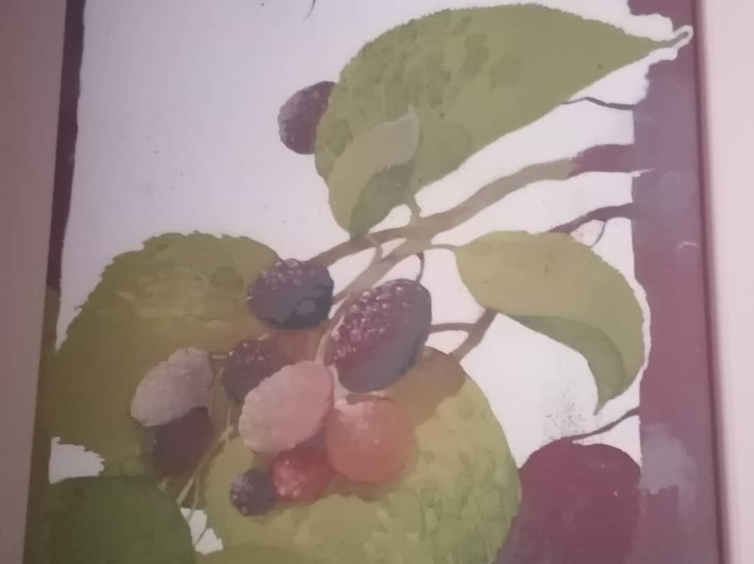 Agriturismo Tetto Garrone主图
