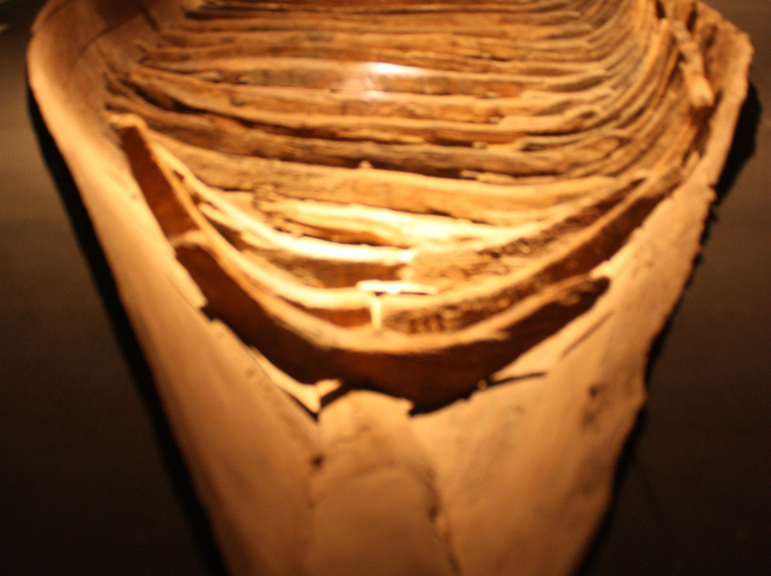 Cantiere delle Navi Romane景点图片
