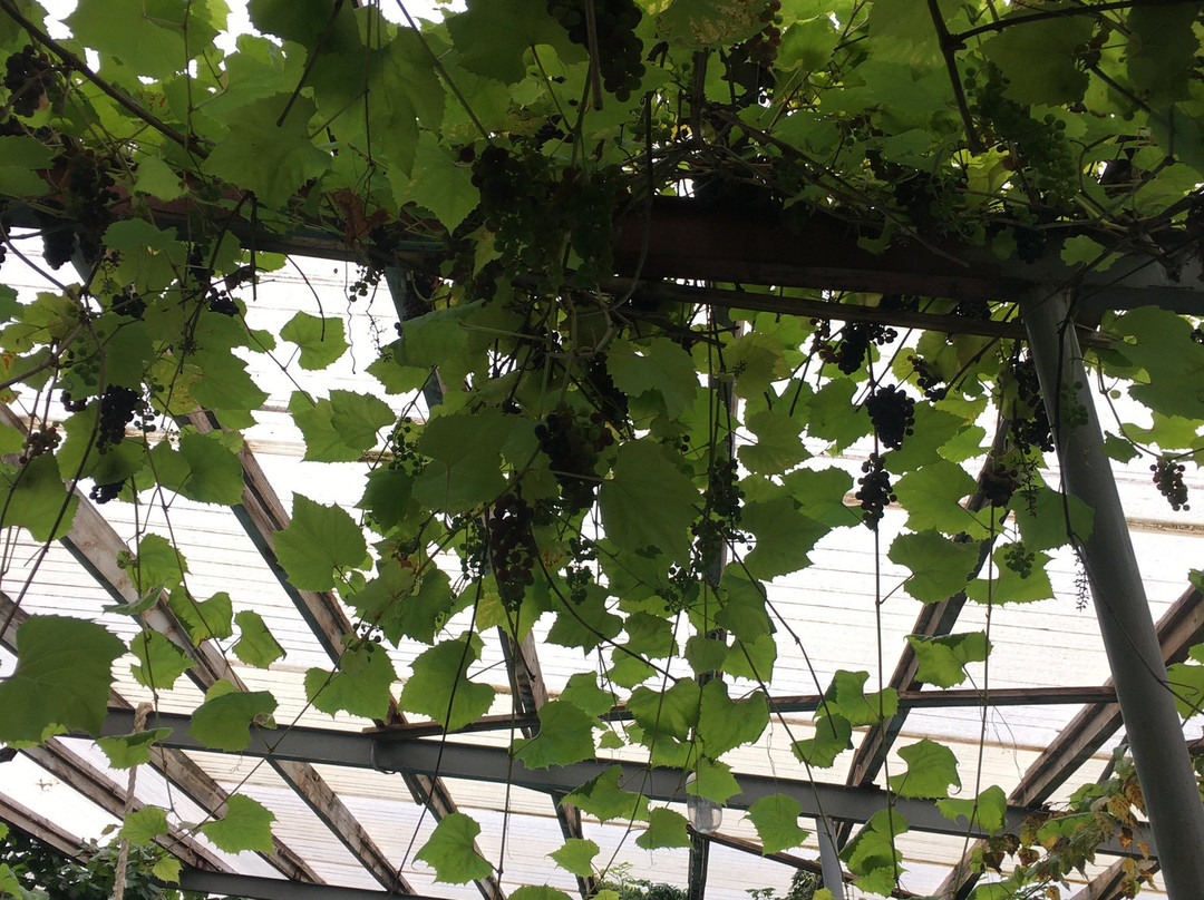 Country Hotel Heydalur主图