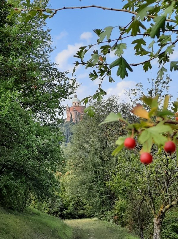 Parco Del San Pellegrino-博洛尼亚必去景点