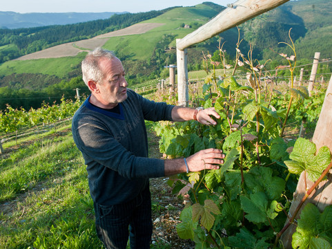 Bodega K5 Txakolina-Aia必去景点