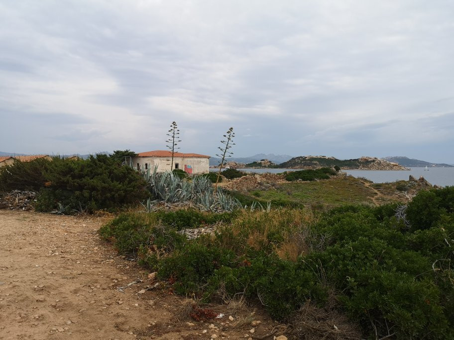 Cala Andreani-Caprera必去景点