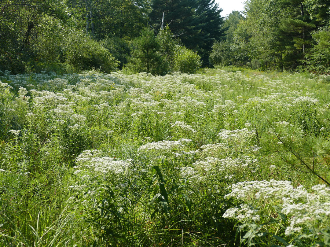 Claridon Woodlands-Chardon必去景点