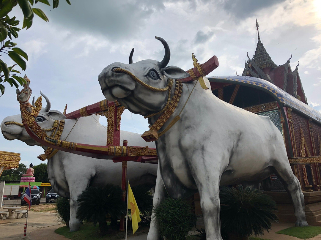 Wat Phra That Rueang Rong景点图片