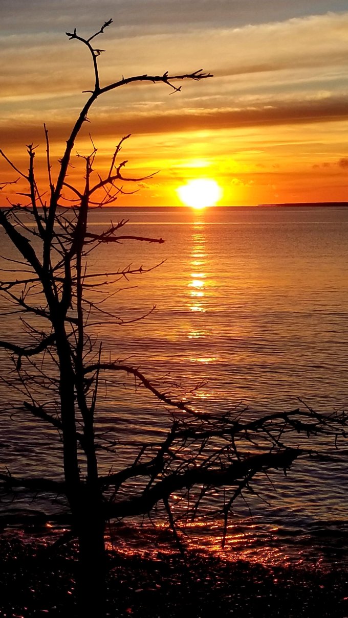 卡博特岸畔旅舍-泳池