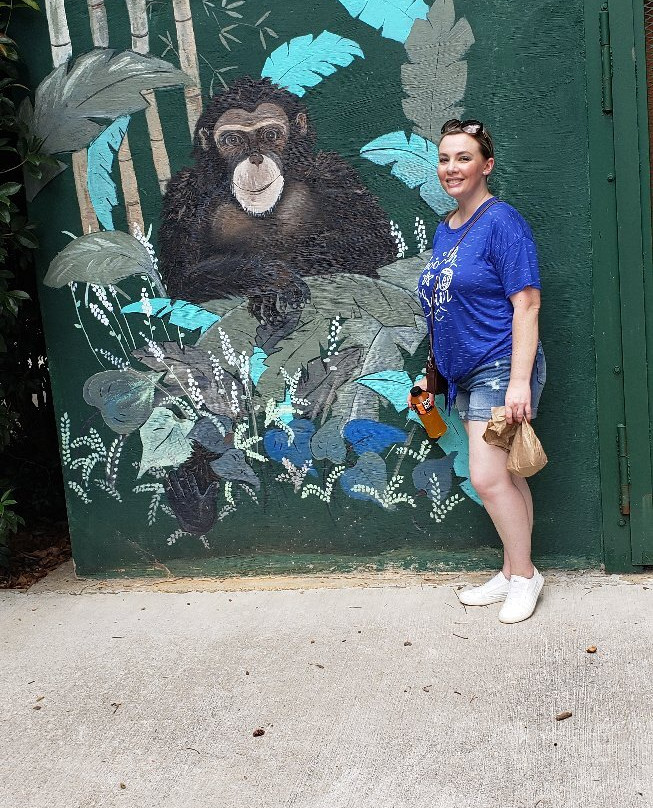 Chestatee Wildlife Preserve & Zoo-达洛尼加必去景点