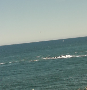 Eyemouth Fort-Eyemouth必去景点