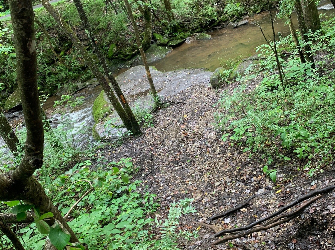 Adventure Damascus & Sundog Outfitter-Damascus必去景点