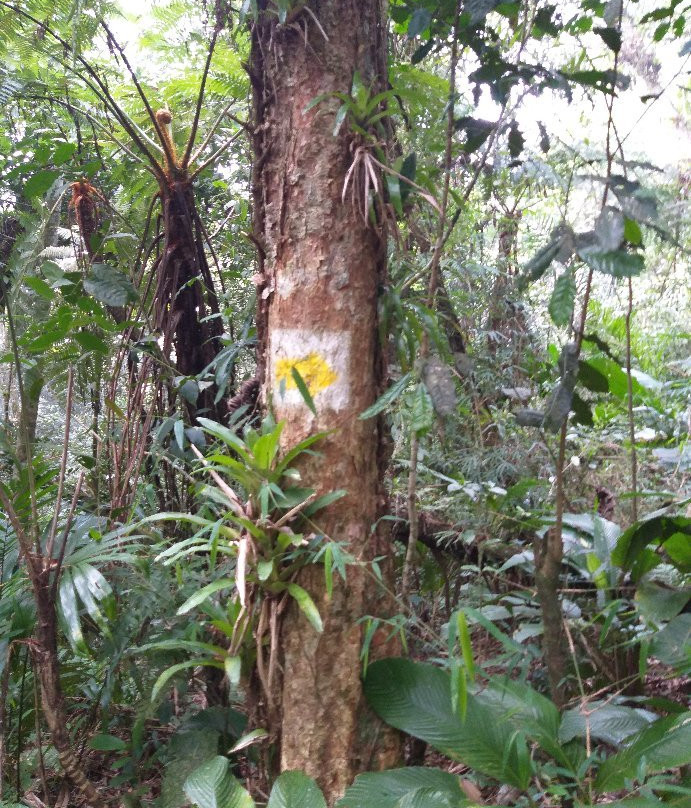 Pico da Pedra-Camboriu必去景点
