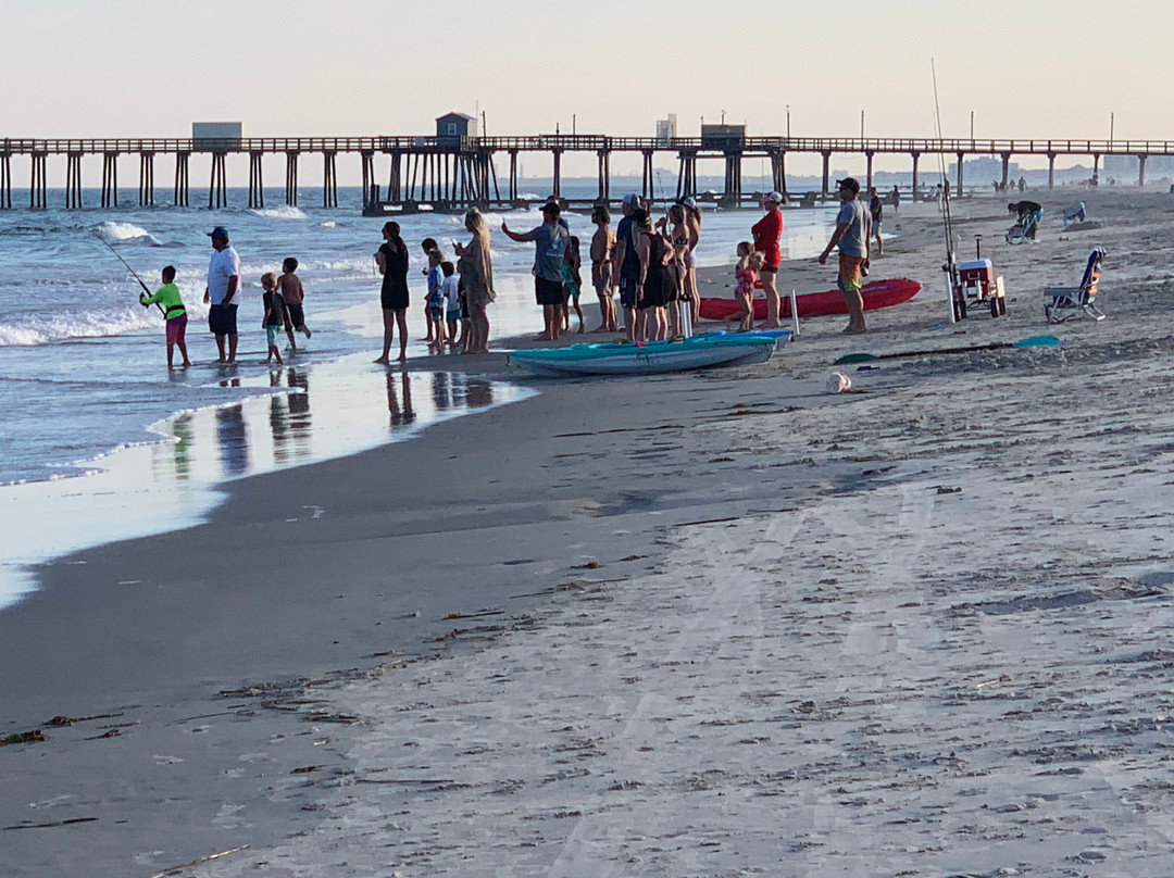 Ventnor City Beach景点图片