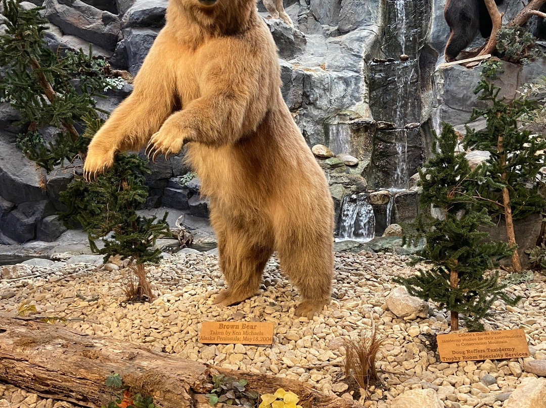 Cabela's-Buda必去景点