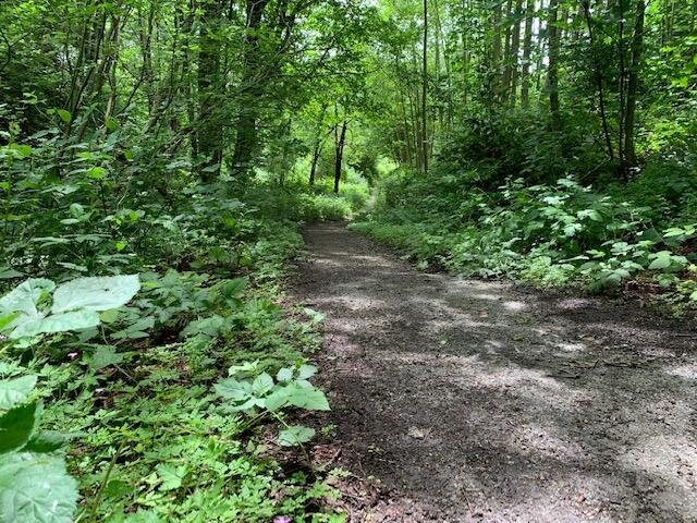 Watershed Park景点图片