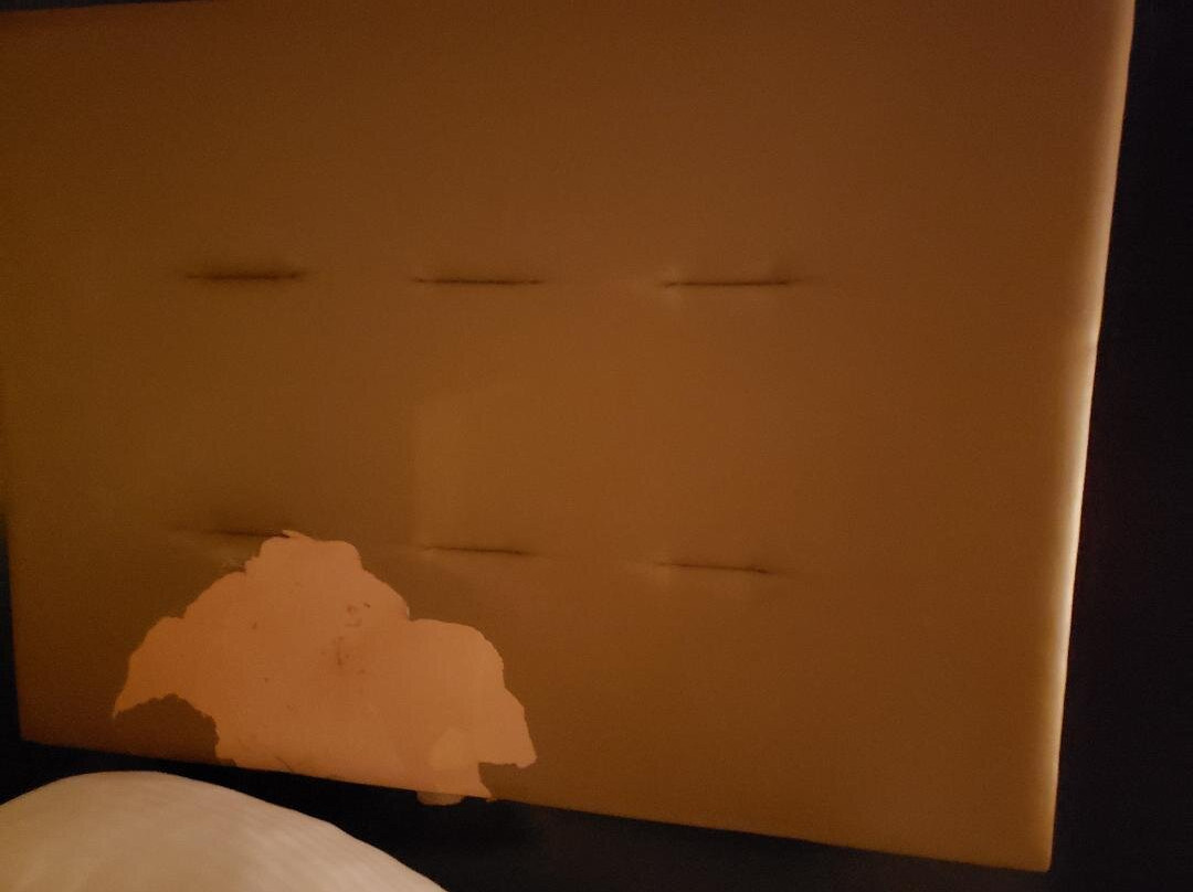 Spark By Hilton Brandon主图