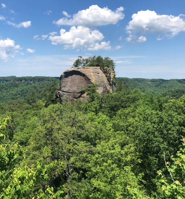 Auxier Ridge Trail #204-Slade必去景点