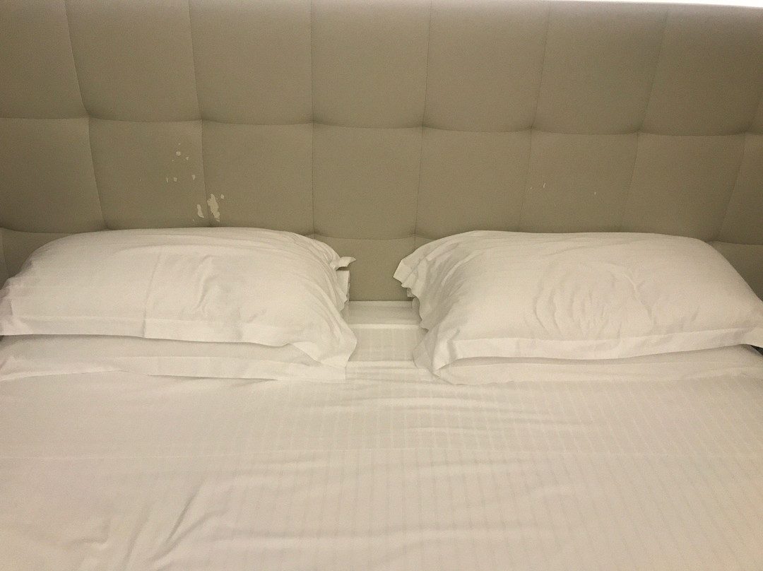 Cosmopolitan Business Hotel主图