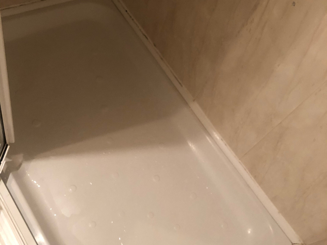 The Bear Hotel主图