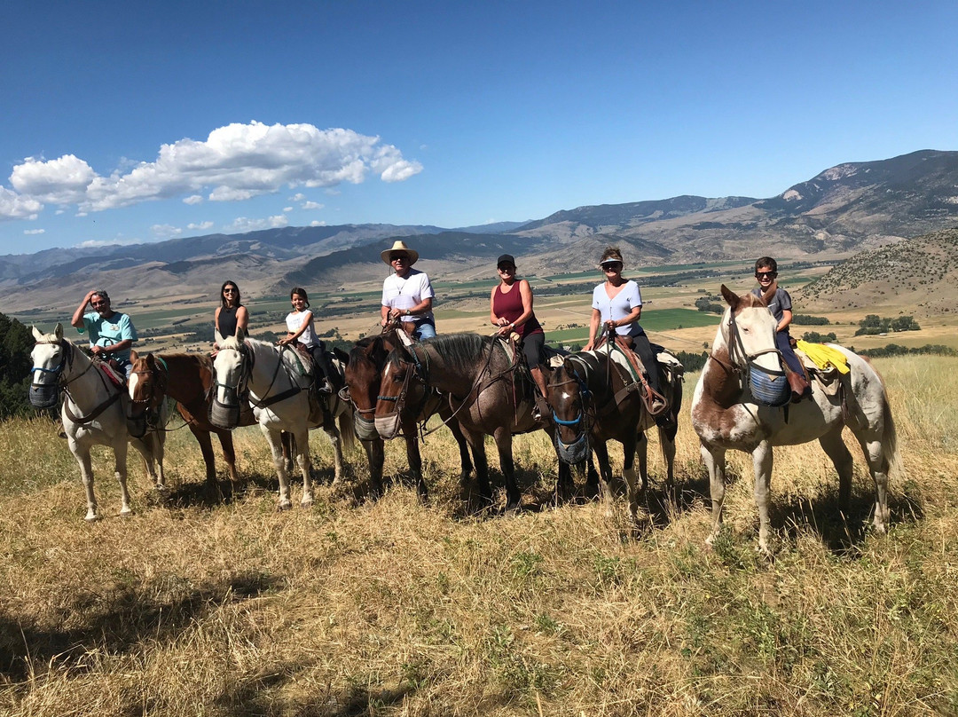 Bear Paw Outfitters-利文斯顿必去景点