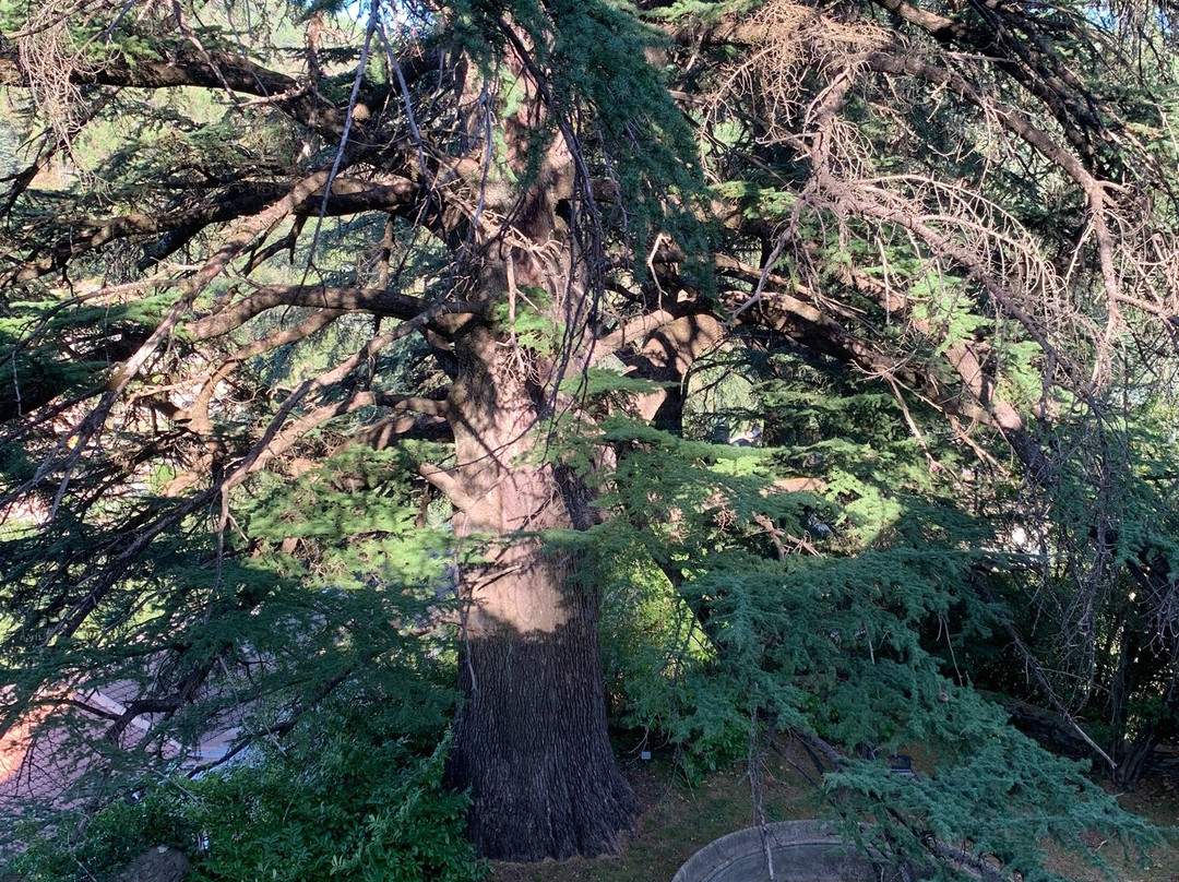 Château de Cambiaire主图