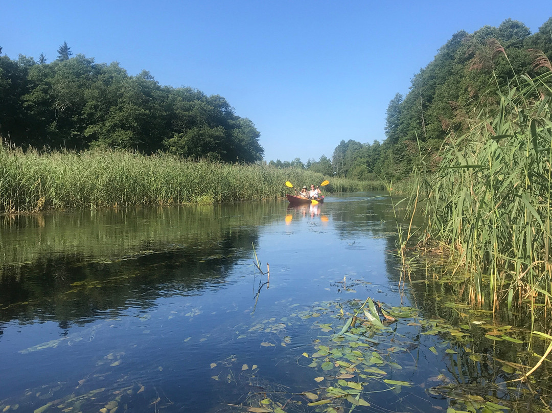 As Tours - Kayak Expeditions & Rental景点图片