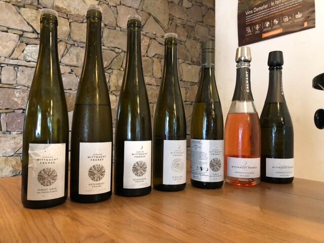 Domaine Mittnacht Frères景点图片