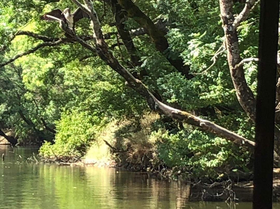 Ropotamo Nature Reserve-普里莫斯科必去景点