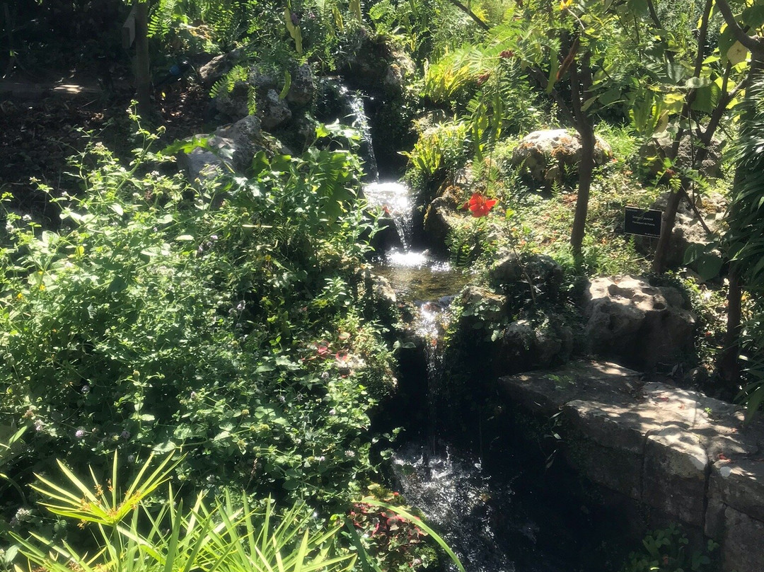 Jardin Botanique景点图片