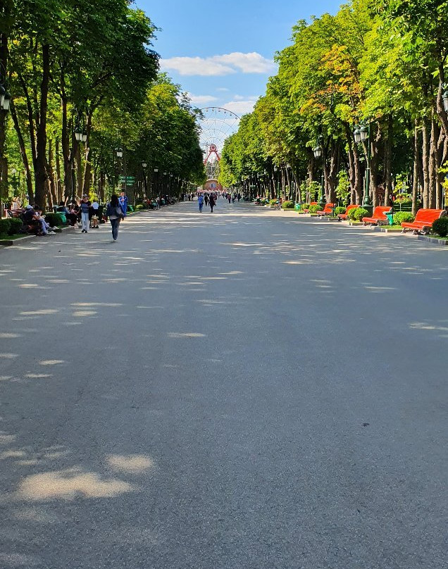 Gorky Central Park of Culture and Leisure-哈尔科夫必去景点