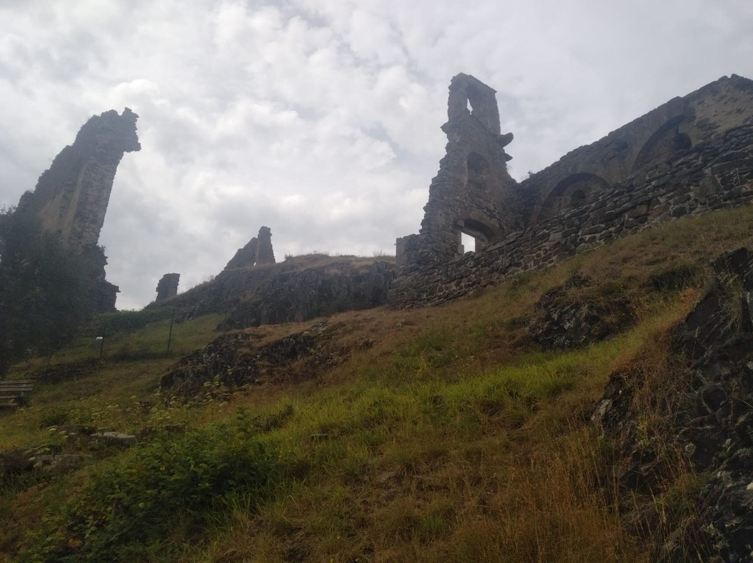 Chateau d'Artias景点图片